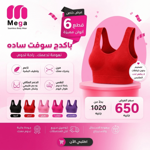 باكدج سوفت ساده